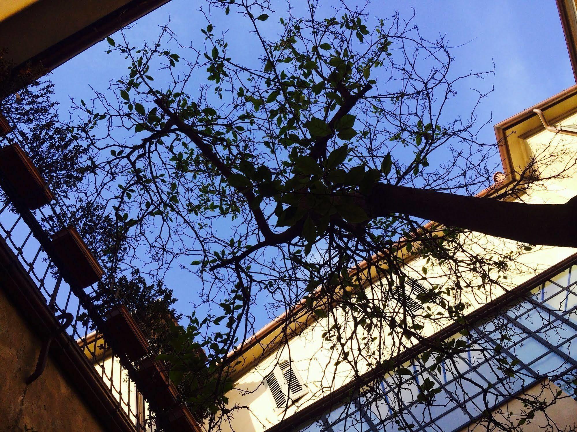 Locanda San Marco Residenza Caluri ปิสโตยา ภายนอก รูปภาพ